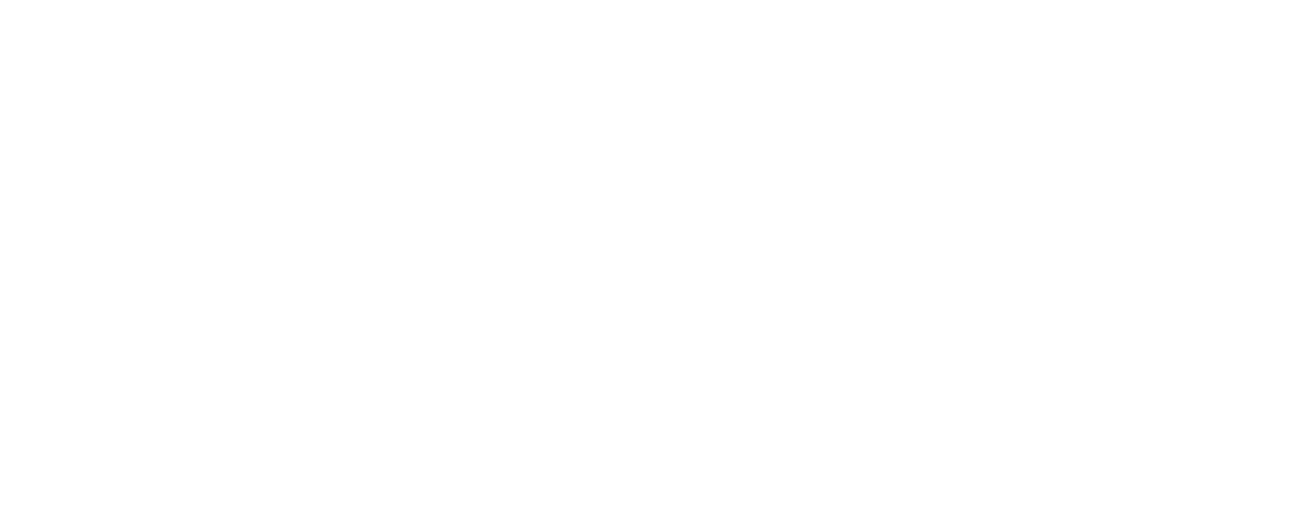 Pluga Consult